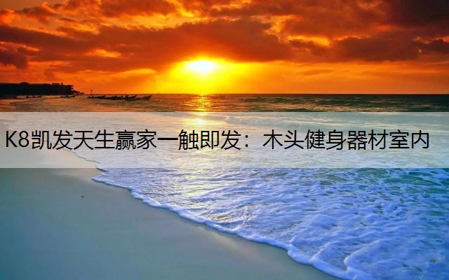 K8凯发天生赢家一触即发：木头健身器材室内