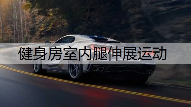 健身房室内腿伸展运动