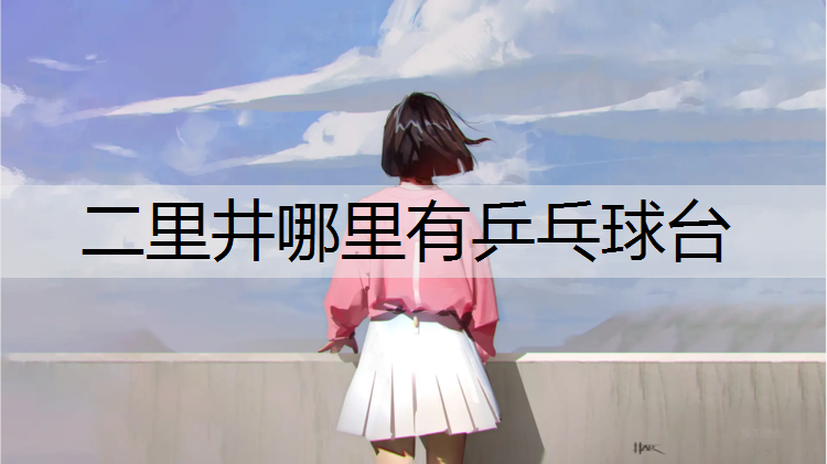 二里井哪里有乒乓球台