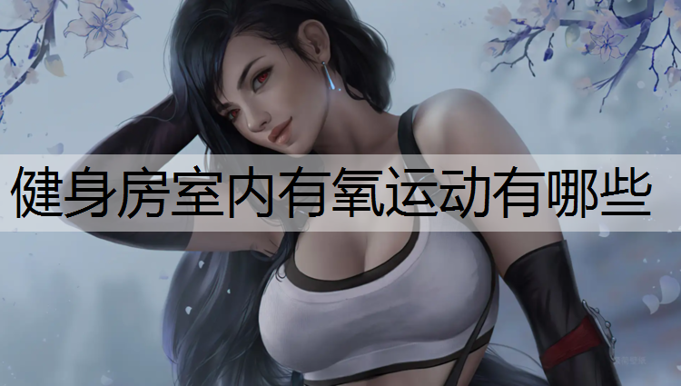 健身房室内有氧运动有哪些