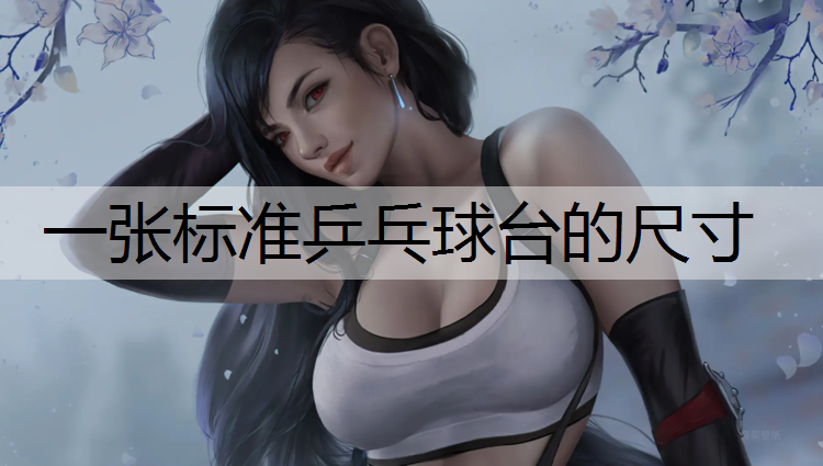 一张标准乒乓球台的尺寸