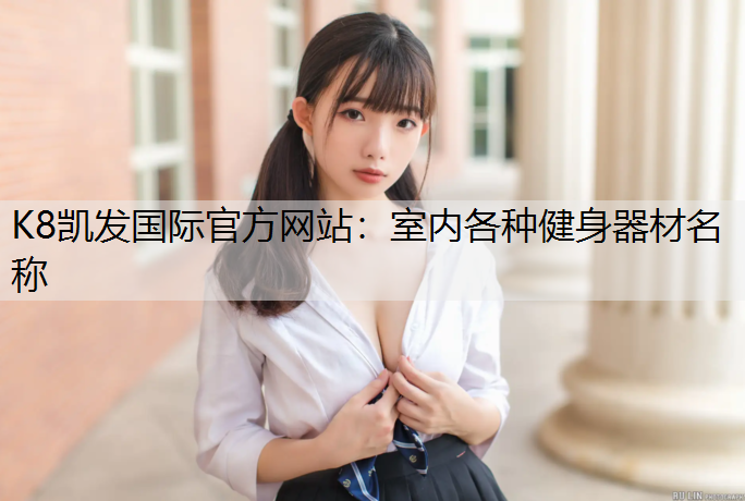 K8凯发国际官方网站：室内各种健身器材名称