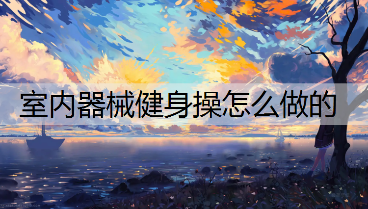 室内器械健身操怎么做的