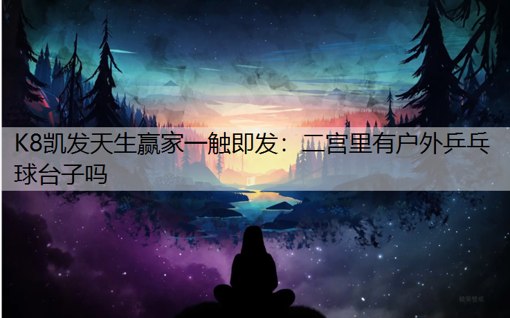 K8凯发天生赢家一触即发：二宫里有户外乒乓球台子吗