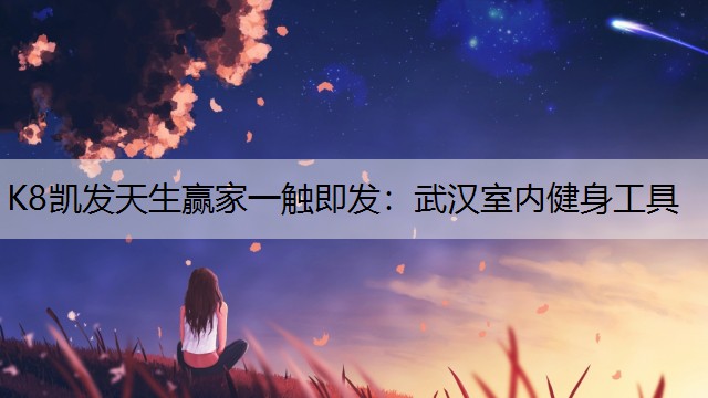武汉室内健身工具