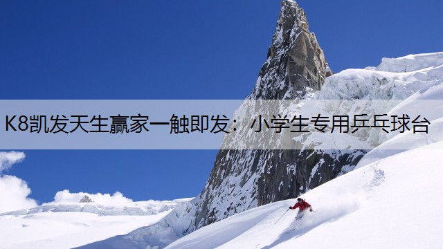 小学生专用乒乓球台