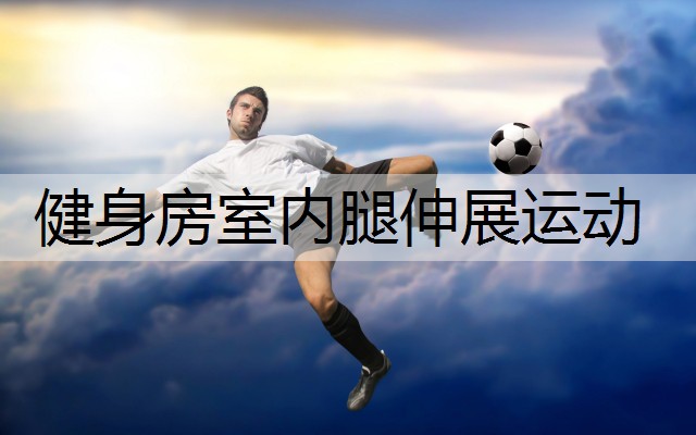 健身房室内腿伸展运动
