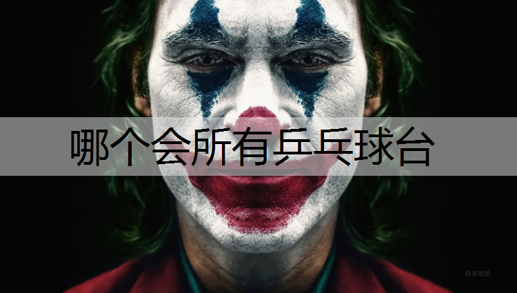 哪个会所有乒乓球台