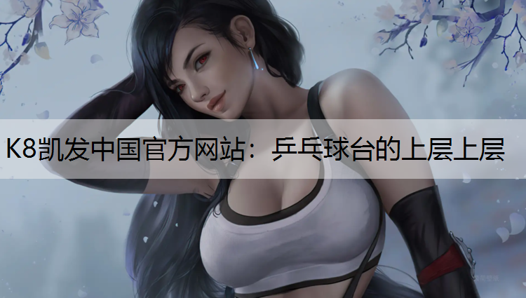 乒乓球台的上层上层