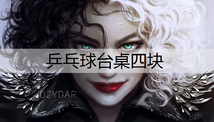 乒乓球台桌四块
