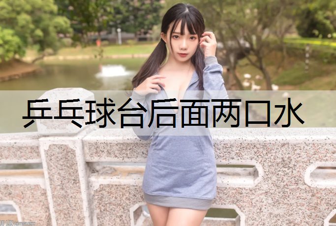 乒乓球台后面两口水