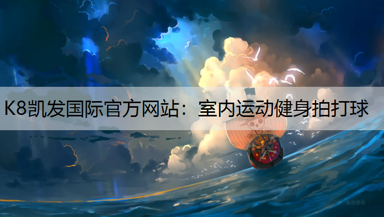 室内运动健身拍打球